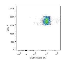 CEACAM8/CD66b Antibody (G10F5) - Azide and BSA Free, Novus Biologicals 0.1 mg | Buy Online | Novus Biologicals | Fisher Scientific