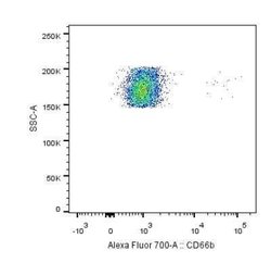 CEACAM8/CD66b Antibody (G10F5) - Azide and BSA Free, Novus Biologicals 0.1 mg | Buy Online | Novus Biologicals | Fisher Scientific