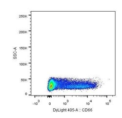 CEACAM8/CD66b Antibody (G10F5) - Azide and BSA Free, Novus Biologicals 0.1 mg | Buy Online | Novus Biologicals | Fisher Scientific