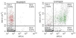 CEACAM8/CD66b Antibody (G10F5) - Azide and BSA Free, Novus Biologicals 0.1 mg | Buy Online | Novus Biologicals | Fisher Scientific