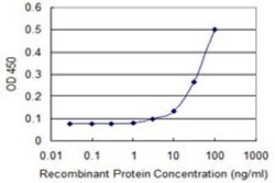 CGI-16 Antibody (4E4), Novus Biologicals 0.1 mg | Buy Online | Novus Biologicals | Fisher Scientific