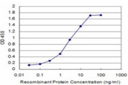 Novus Biologicals CITED1 Antibody (6E12), Novus Biologicals 0.1 mg | Buy Online | Novus Biologicals&trade; | Fisher Scientific