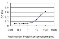 Novus Biologicals CKS1 Antibody (3G8), Novus Biologicals 0.1 mg | Buy Online | Novus Biologicals&trade; | Fisher Scientific