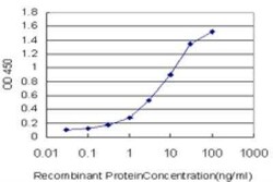 CLCA1 Antibody (2C10), Novus Biologicals 0.1 mg | Buy Online | Novus Biologicals | Fisher Scientific