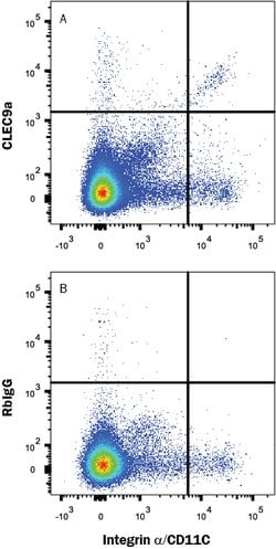 Mouse CLEC9a Antibody, R D Systems:Antibodies:Primary Antibodies