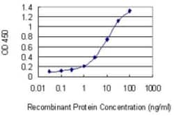 CML2 Antibody (3B6), Novus Biologicals 0.1 mg | Buy Online | Novus Biologicals | Fisher Scientific