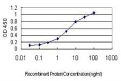 CMTM4 Antibody (6G4), Novus Biologicals 0.1 mg; Unconjugated:Antibodies,