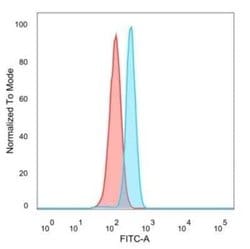 CNOT10 Mouse anti-Human, Clone: PCRP-CNOT10-1D5, Novus Biologicals 100