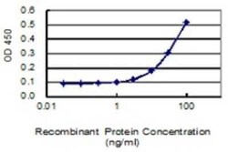 CNOT7 Antibody (2F6), Novus Biologicals 0.1 mg | Buy Online | Novus Biologicals | Fisher Scientific