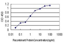 COL20A1 Antibody (1F5), Novus Biologicals 0.1 mg; Unconjugated:Antibodies,