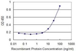 COLEC10 Antibody (2F9), Novus Biologicals 0.1 mg | Buy Online | Novus Biologicals | Fisher Scientific
