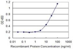 COLEC10 Antibody (4C1), Novus Biologicals 0.1 mg, Unconjugated:Antibodies,