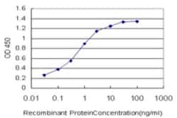 COP Antibody (3E10), Novus Biologicals 0.1 mg; Unconjugated:Antibodies,