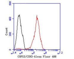 COP9, Rabbit anti-Human,Mouse,Rat, Clone: JE47-48, Novus Biologicals 100
