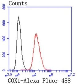 COX-1 Antibody (SC68-05), Novus Biologicals 100&mu;L:Antibodies, Monoclonal