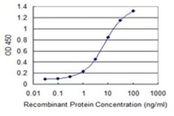 COX5A Antibody (1G10), Novus Biologicals 0.1 mg | Buy Online | Novus Biologicals | Fisher Scientific