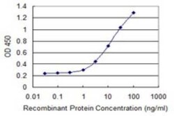 CPSF6 Antibody (1C5), Novus Biologicals 0.1 mg | Buy Online | Novus Biologicals | Fisher Scientific