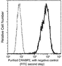 CRABP2 Rabbit anti-Human, Clone: 4, Novus Biologicals 100 &mu;g; Unconjugated:Antibodies,