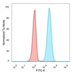 CREB5 Mouse anti-Human, Clone: PCRP-CREB5-1G8, Novus Biologicals:Antibodies:Primary