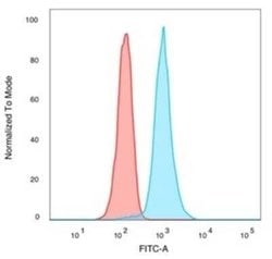 CREB5 Mouse anti-Human, Clone: PCRP-CREB5-1G8, Novus Biologicals:Antibodies:Primary