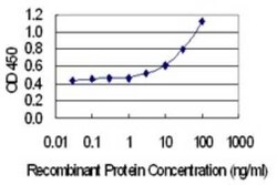 CREBL2 Antibody (1C1), Novus Biologicals 0.1 mg | Buy Online | Novus Biologicals | Fisher Scientific