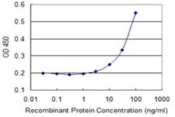 CRMP1 Antibody (2B6), Novus Biologicals 0.1 mg | Buy Online | Novus Biologicals | Fisher Scientific