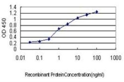 CRX/CORD2 Antibody (4G11), Novus Biologicals 0.1 mg; Unconjugated:Antibodies,