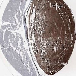 CRYGS Rabbit anti-Human, Polyclonal, Novus Biologicals 100 &mu;g | Buy Online | Novus Biologicals | Fisher Scientific