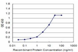 CSRP1 Antibody (2A11), Novus Biologicals 0.1 mg | Buy Online | Novus Biologicals | Fisher Scientific