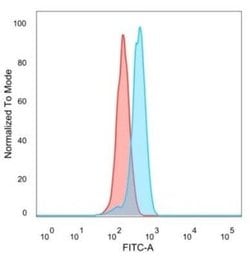 CTBP2 Mouse anti-Human, Clone: PCRP-CTBP2-2D11, Novus Biologicals:Antibodies:Primary