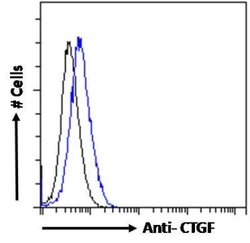 CTGF/CCN2 Antibody, Novus Biologicals 100 &mu;g Unconjugated:Antibodies,
