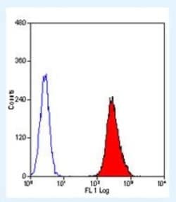 CTLA-4 Mouse anti-Rat, Clone: WKH203, Novus Biologicals 250 &mu;g; Unconjugated:Antibodies,