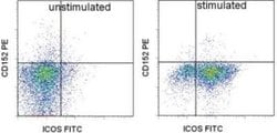 CTLA-4 Mouse anti-Rat, Clone: WKH203, Novus Biologicals 250 &mu;g; Unconjugated:Antibodies,