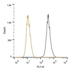 CUGBP1/CELF1 Antibody (3B1) - Azide and BSA Free, Novus Biologicals 0.1