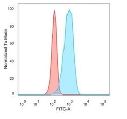 CUGBP2 Mouse anti-Human, Clone: PCRP-CELF2-1E4, Novus Biologicals:Antibodies:Primary