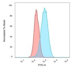 CUGBP2 Mouse anti-Human, Clone: PCRP-CELF2-1E4, Novus Biologicals:Antibodies:Primary