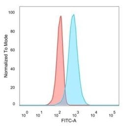 CUGBP2 Mouse anti-Human, Clone: PCRP-CELF2-1E4, Novus Biologicals:Antibodies:Primary