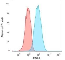 CUGBP2 Mouse anti-Human, Clone: PCRP-CELF2-1E4, Novus Biologicals:Antibodies:Primary
