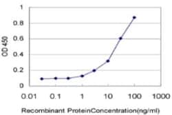 CXCL12/SDF-1 Antibody (1E5), Novus Biologicals 0.1 mg | Buy Online | Novus Biologicals | Fisher Scientific