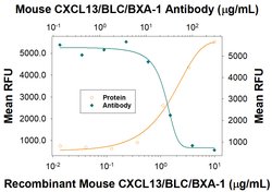 Mouse CXCL13/BLC/BCA-1 Antibody, R D Systems:Antibodies:Primary Antibodies