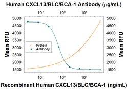 Human CXCL13/BLC/BCA-1 Antibody, R D Systems:Antibodies:Primary Antibodies