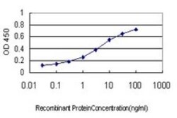 CXCL7/NAP-2 Antibody (3B9), Novus Biologicals 0.1 mg | Buy Online | Novus Biologicals | Fisher Scientific