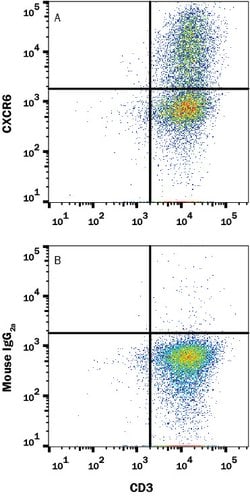 Human CXCR6 Antibody, R D Systems 100 ug; Unconjugated:Antibodies, Monoclonal
