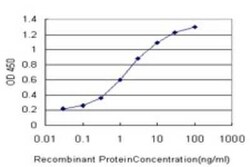 CYB5R4 Antibody (1E8), Novus Biologicals 0.1 mg | Buy Online | Novus Biologicals | Fisher Scientific