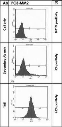 Cadherin-11 Antibody (1A5), Novus Biologicals&trade;