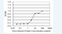 Cadherin-11 Antibody (3C8), Novus Biologicals 100 &mu;g | Buy Online | Novus Biologicals | Fisher Scientific