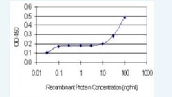 Cadherin-11 Antibody (3C8), Novus Biologicals 100 &mu;g | Buy Online | Novus Biologicals | Fisher Scientific
