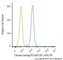 Calcium-sensing R/CaSR Antibody (HL 1499) - Azide and BSA Free, Novus Biologicals 0.1 mL | Buy Online | Novus Biologicals | Fisher Scientific