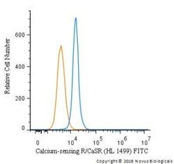 Calcium-sensing R/CaSR Antibody (HL 1499) - Azide and BSA Free, Novus Biologicals 0.1 mL | Buy Online | Novus Biologicals | Fisher Scientific