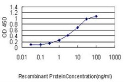 Calmodulin 2 Antibody (3F4-G5), Novus Biologicals 0.1 mg | Buy Online | Novus Biologicals | Fisher Scientific